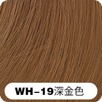 WH-19
