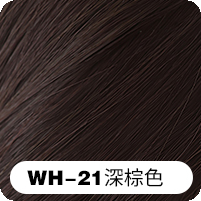 WH-21