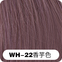 WH-22