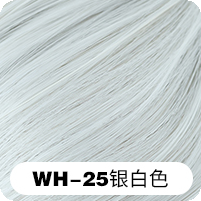 WH-25