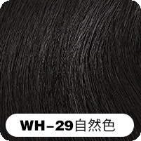WH-29