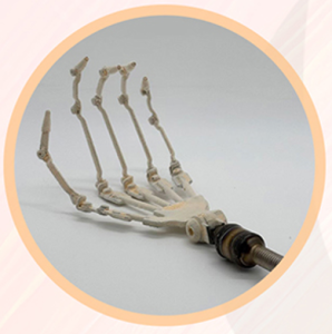 Articulated Fingers