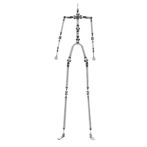 standard skeleton