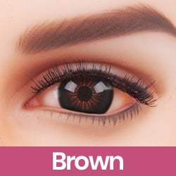 s#1 Brown