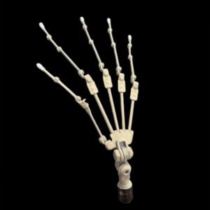 GraceJoint
