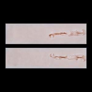 VT-O2 (8.7 cm)