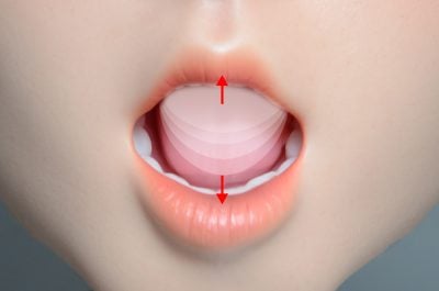Mechanical Tongue (Licking)