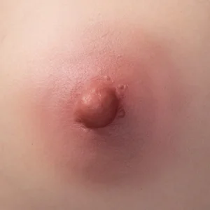 Areola #2 Pink