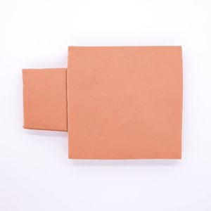 Tan Skin-2
