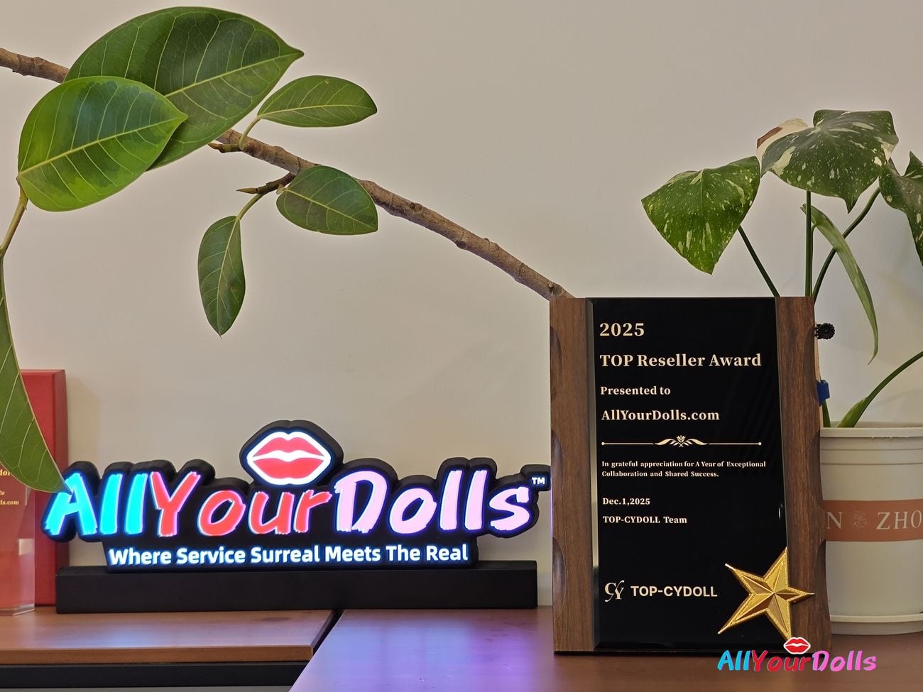 AllYourDolls Official Top Reseller Award 2025