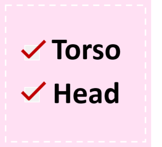 Torso + Head