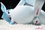 Lingmo-Pokemon Glaceon (9)