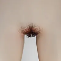 S02