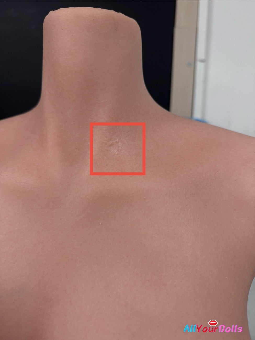 Scar Part-Evel
