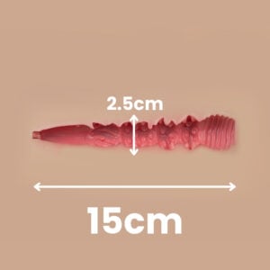 00 Vaginal Channel (Defualt)
