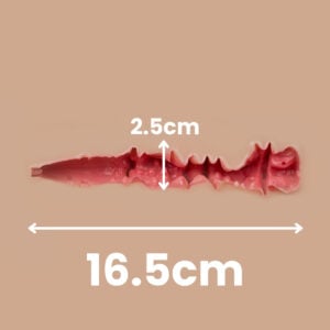 04 Vaginal Channel