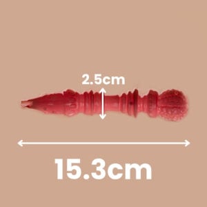 05 Vaginal Channel