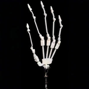 Articulaed Finger