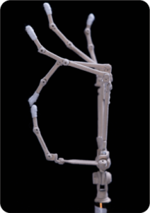 BoneFlex Hand Skeleton