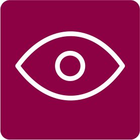 Extra Amber Eyes (Contact Us)