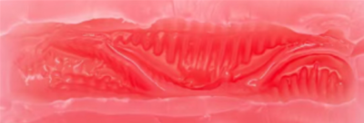 Vaginal Tunnel 15.5cm