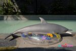 Dolphin Silicone Fur Fapdolls