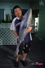 Baby-Shark-Doll