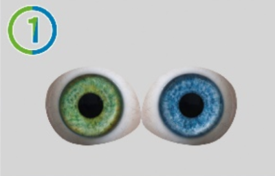 1-Round pupil of eye