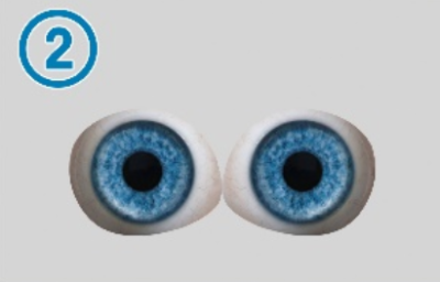 2-Round pupil of eye