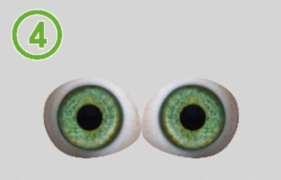 4-Round pupil of eye