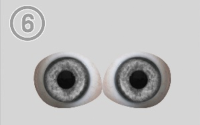 6-Round pupil of eye