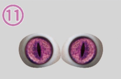 11-Strip-shaped pupil