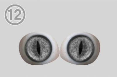 12-Strip-shaped pupil