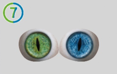 7-Strip-shaped pupil