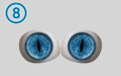 8-Strip-shaped pupil