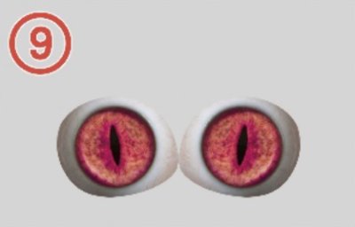 9-Strip-shaped pupil