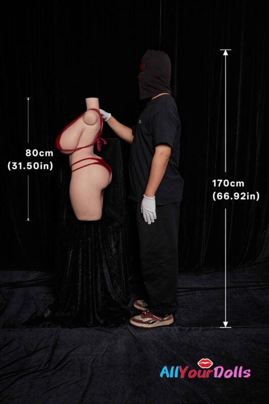Sex Torso