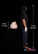 CLM(Climax Doll) Torso