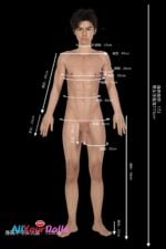 Male Silicone Sex Doll
