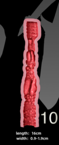 T10
