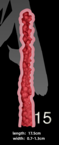 T15