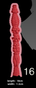 T16
