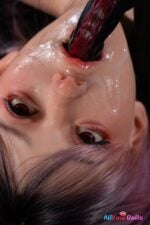 BBW Sex Torso Snow Hime 50cm (1ft8) Full Silicone | Hime King Doll - Image 8